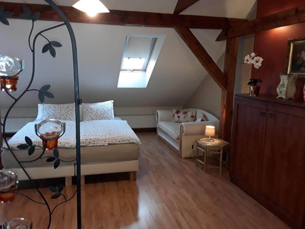 Apartament Tina Дзержонюв Экстерьер фото